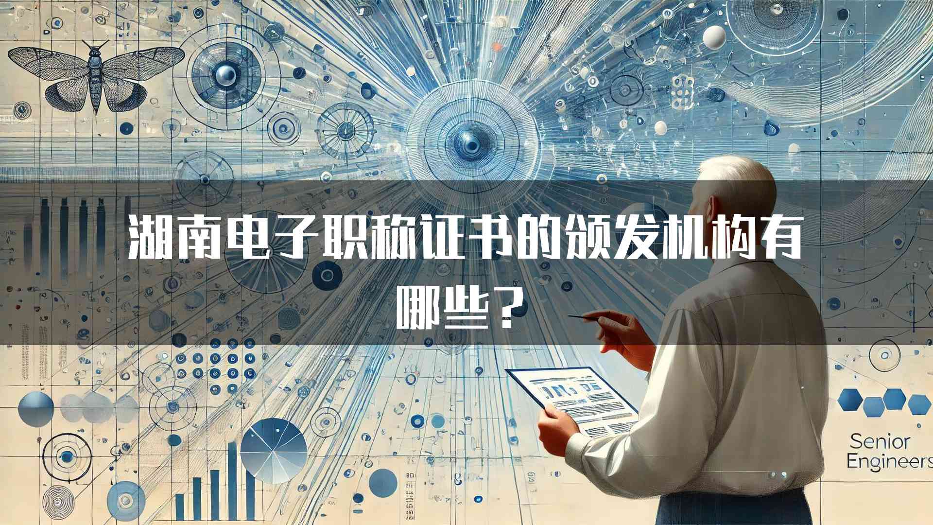 湖南电子职称证书的颁发机构有哪些？