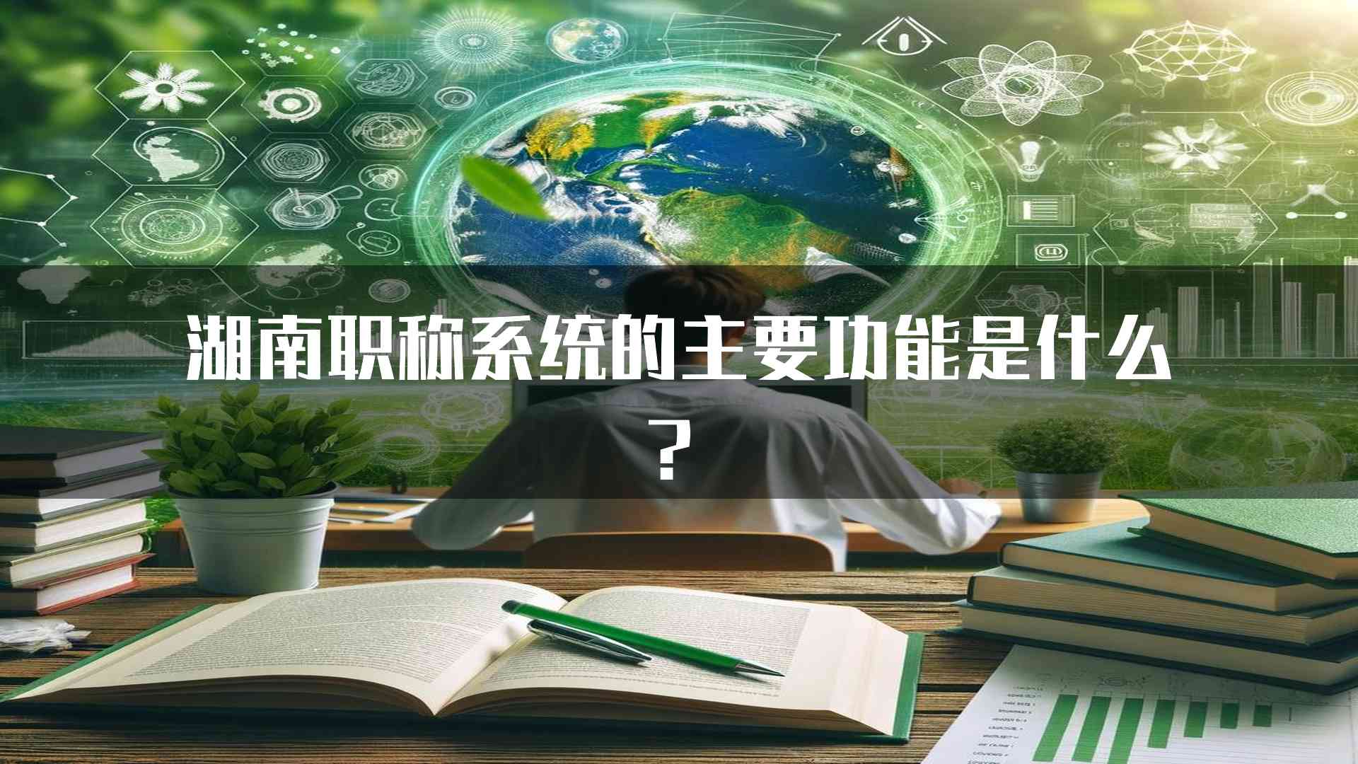 湖南职称系统的主要功能是什么？