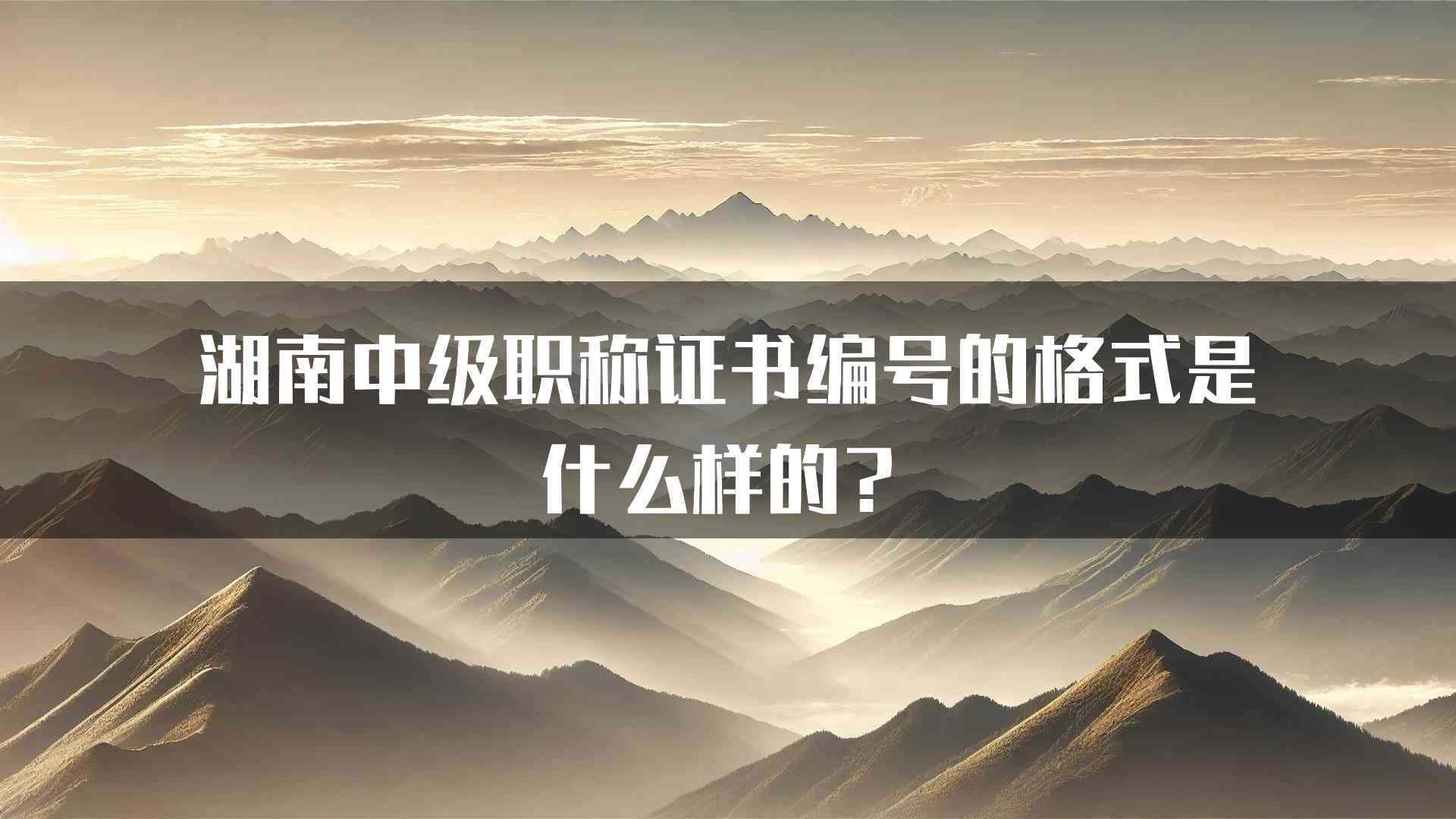 湖南中级职称证书编号的格式是什么样的？