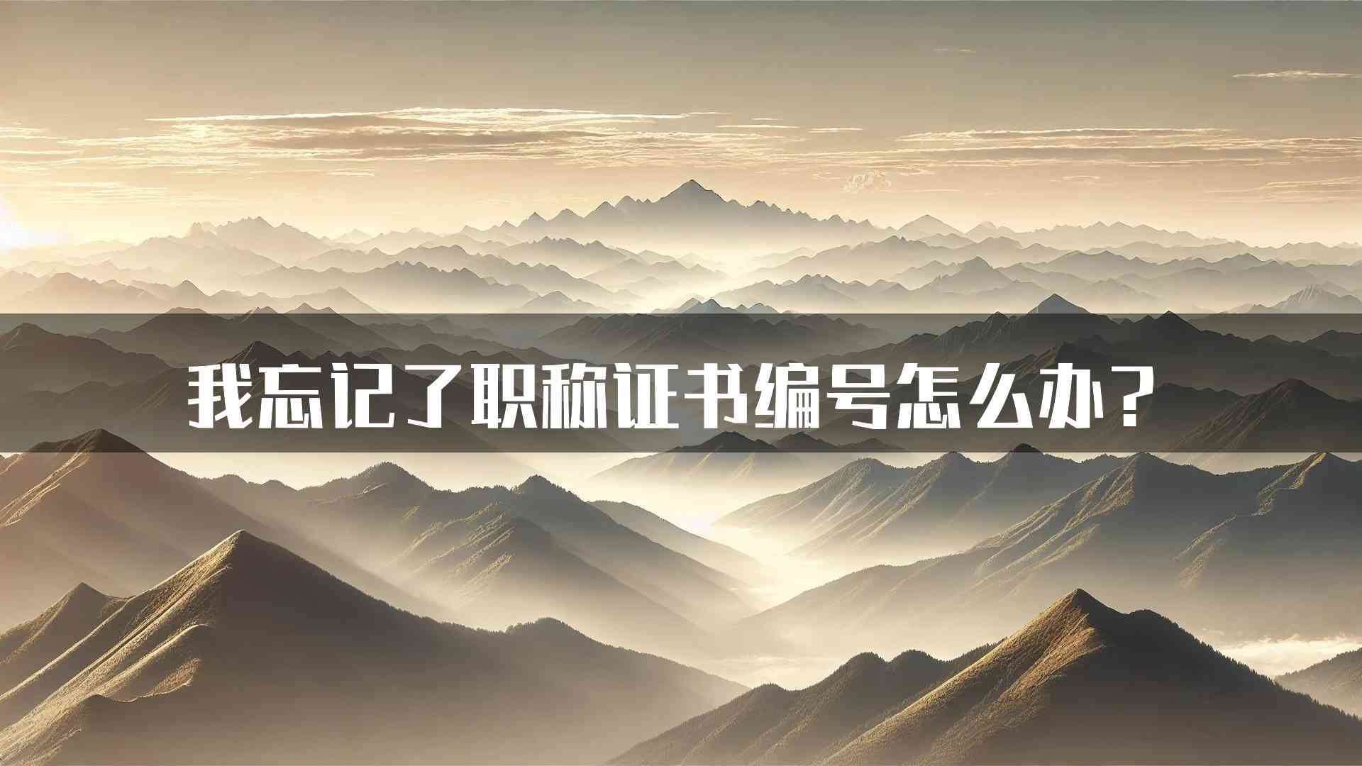 我忘记了职称证书编号怎么办？