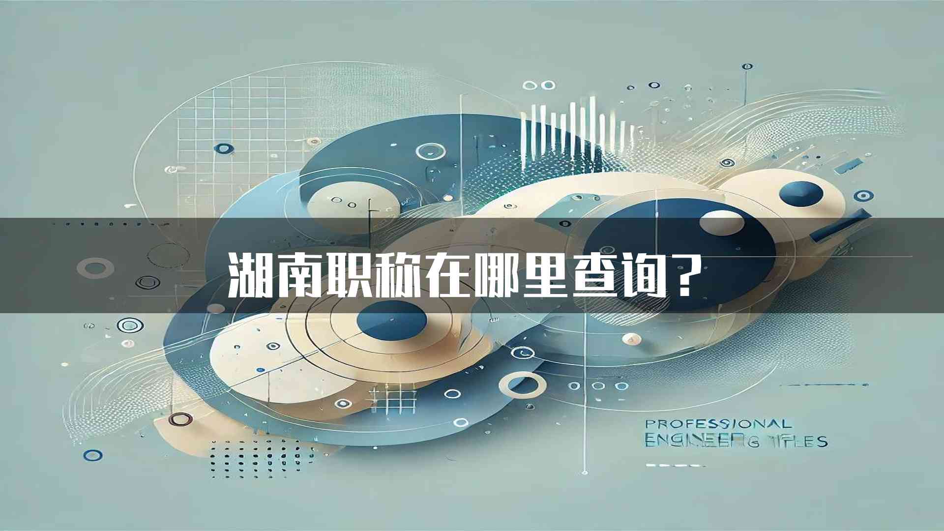 湖南职称在哪里查询？