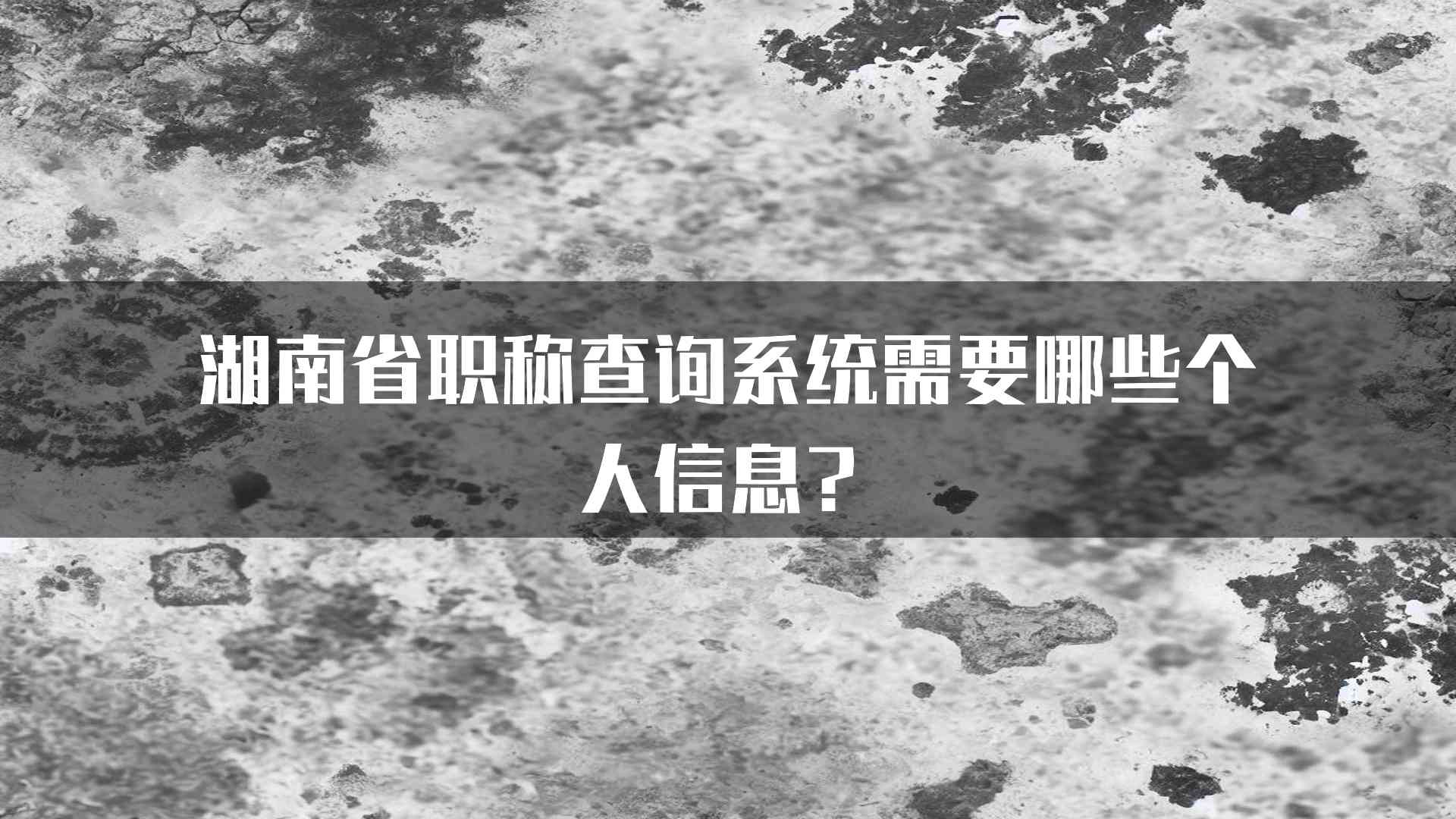 湖南省职称查询系统需要哪些个人信息？