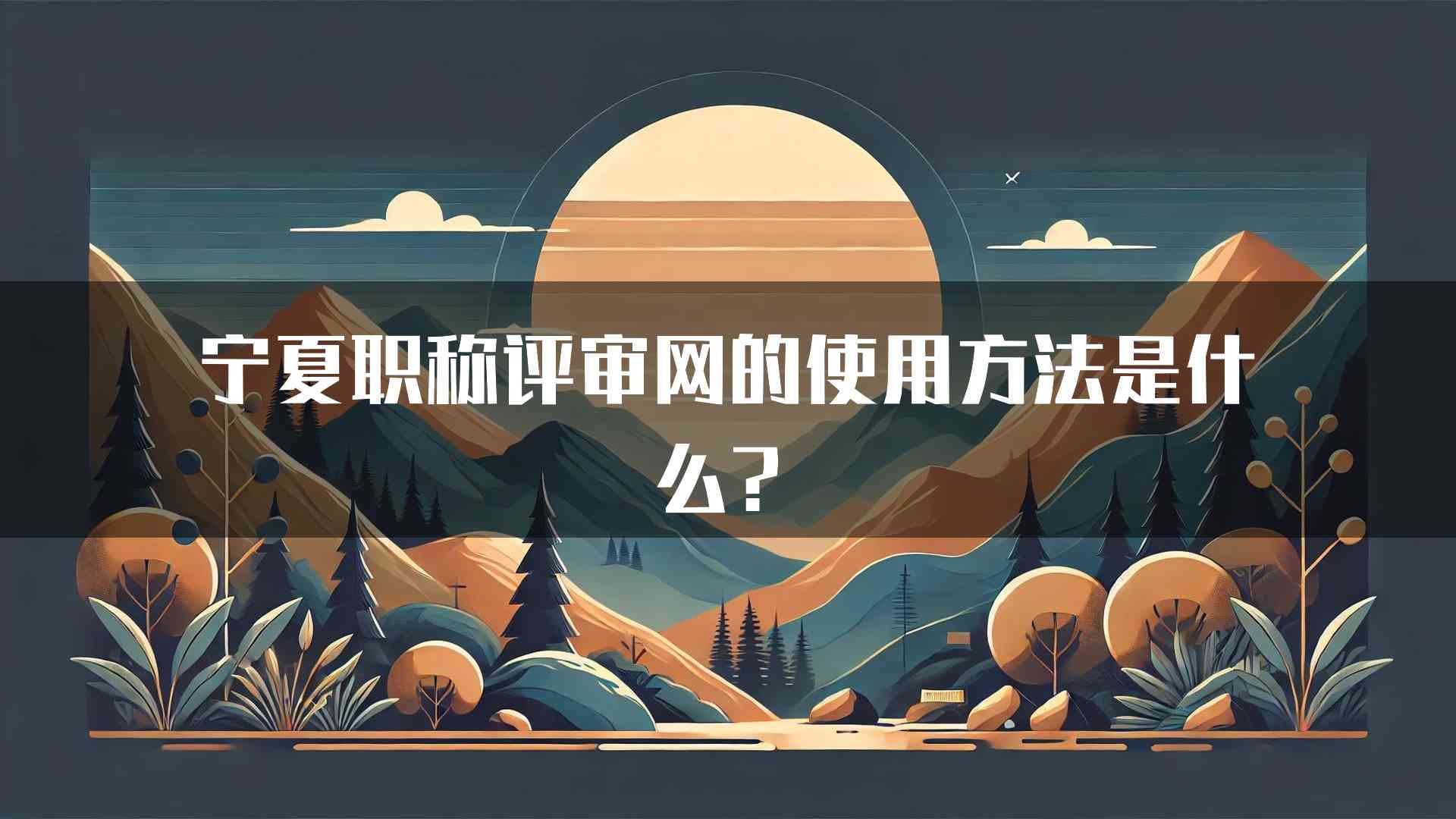 宁夏职称评审网的使用方法是什么？