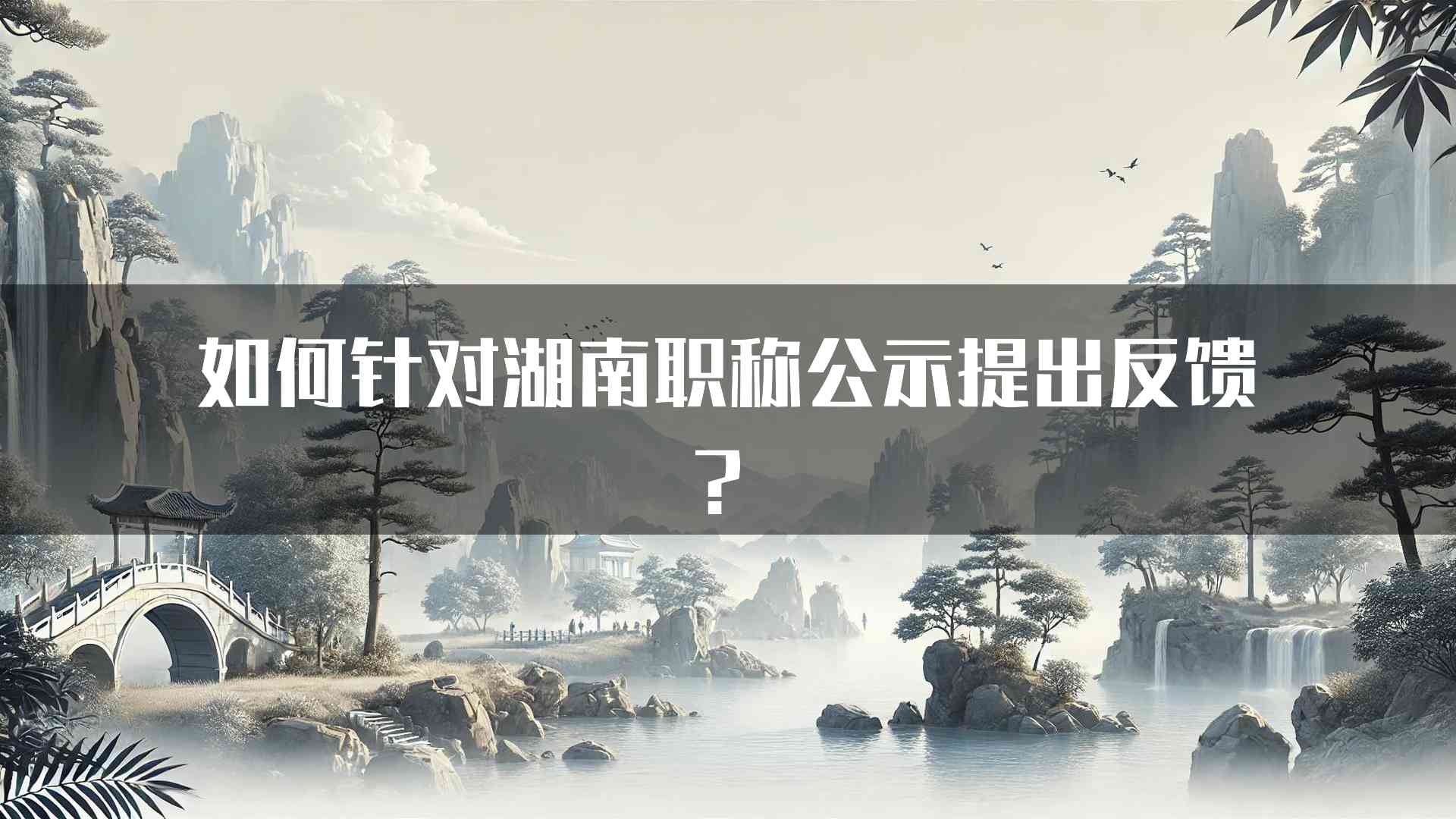 如何针对湖南职称公示提出反馈？