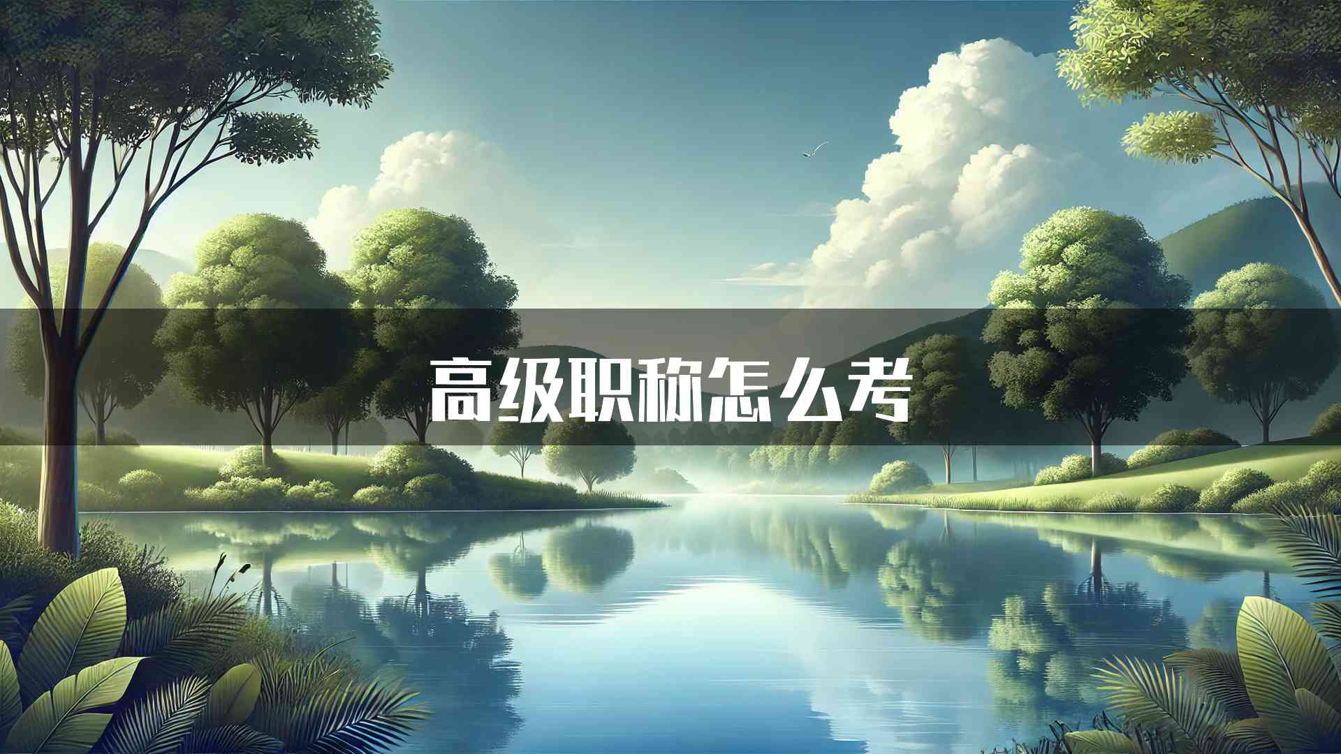 高级职称怎么考