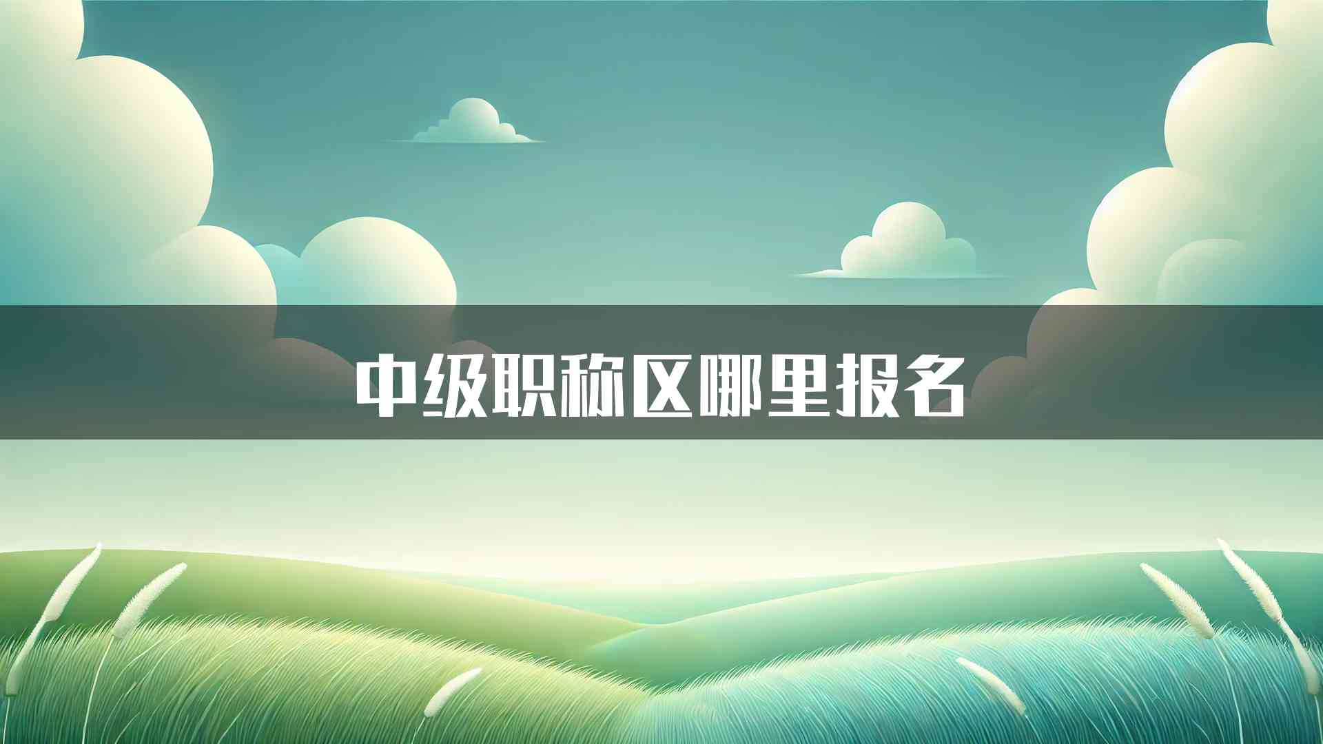 中级职称区哪里报名