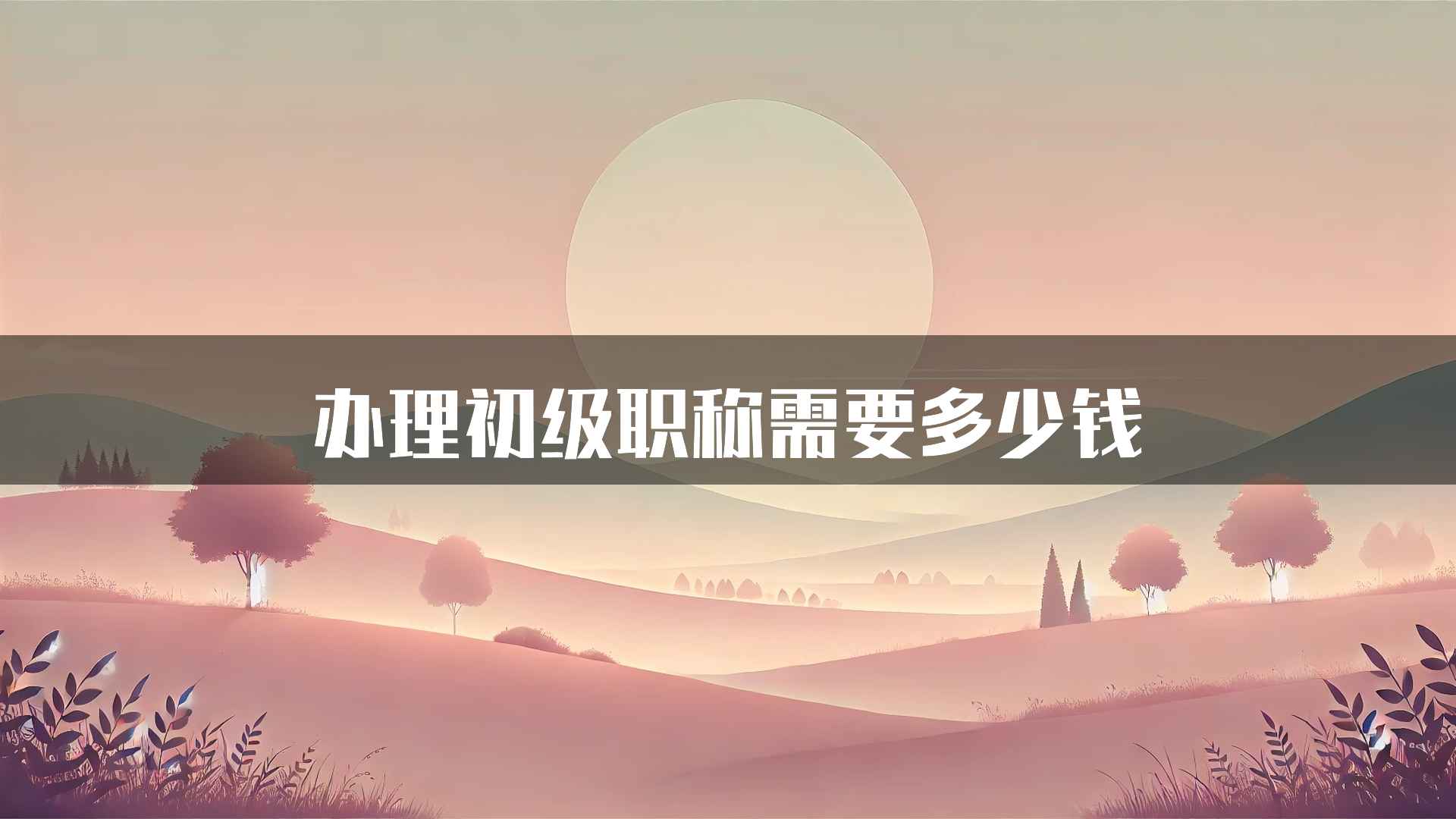 办理初级职称需要多少钱