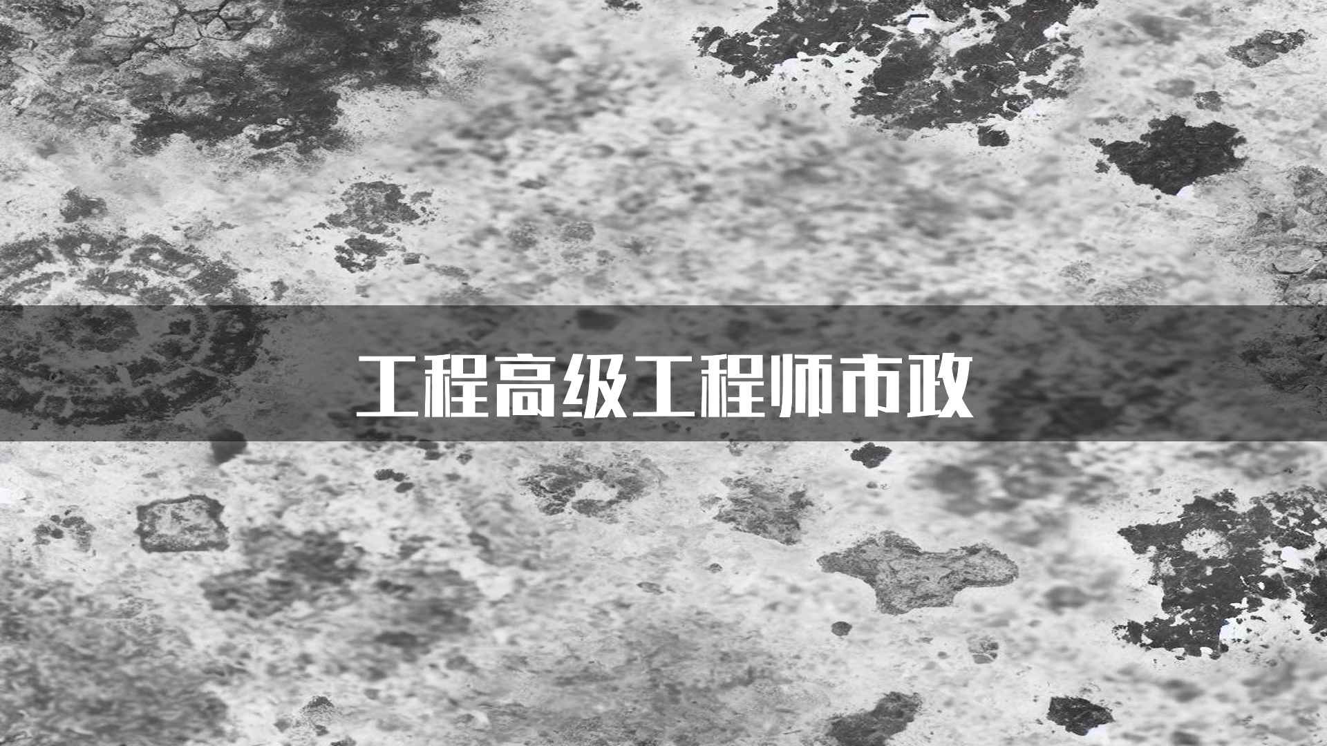 工程高级工程师市政