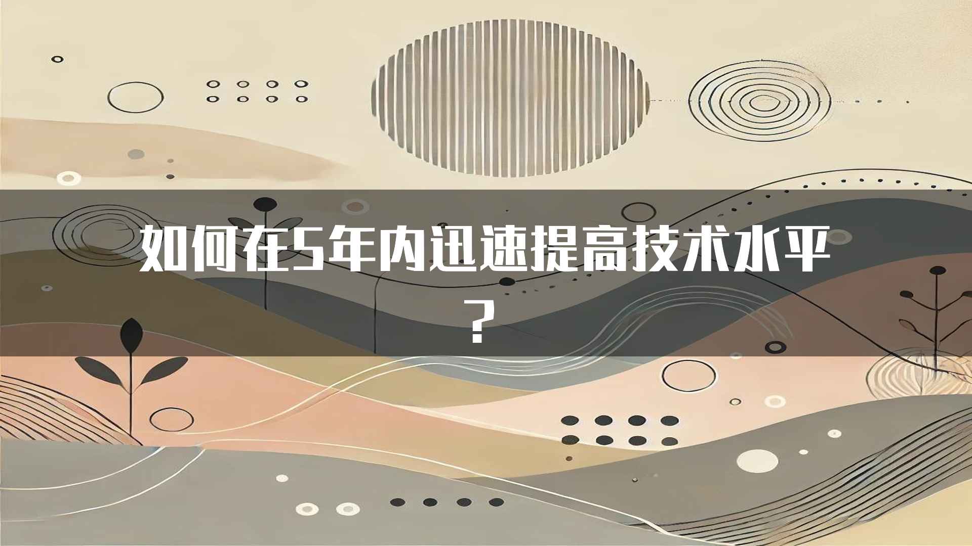 如何在5年内迅速提高技术水平？