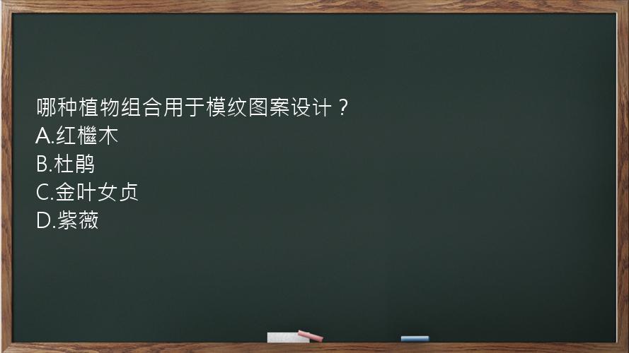 哪种植物组合用于模纹图案设计？