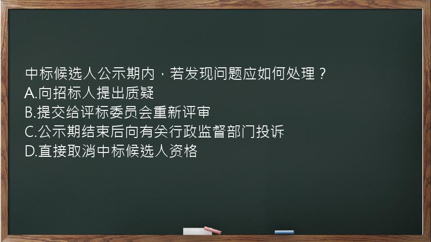 中标候选人公示期内，若发现问题应如何处理？