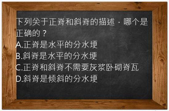 下列关于正脊和斜脊的描述，哪个是正确的？