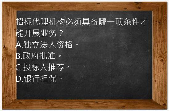 招标代理机构必须具备哪一项条件才能开展业务？