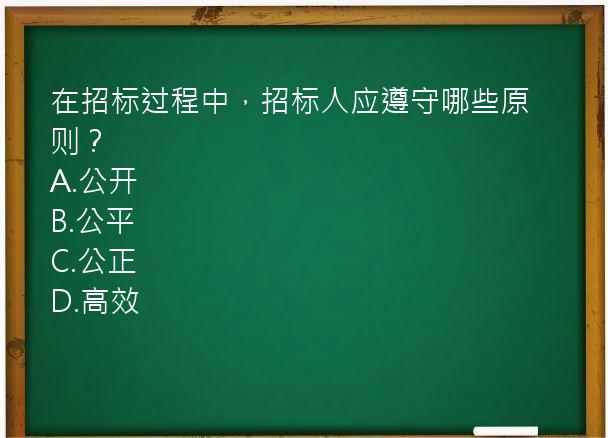 在招标过程中，招标人应遵守哪些原则？