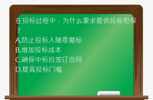 在招标过程中，为什么要求提供投标担保？