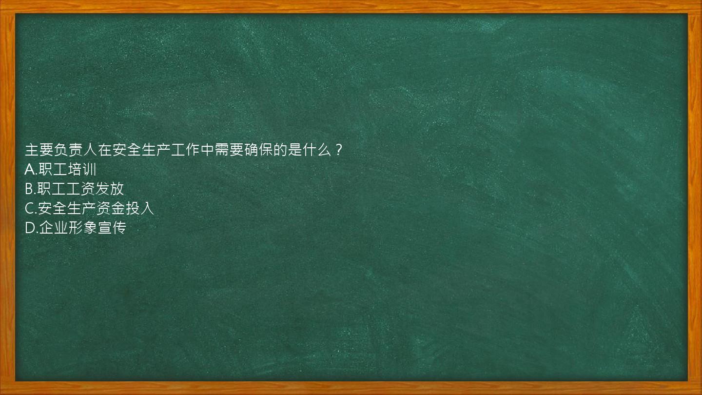 主要负责人在安全生产工作中需要确保的是什么？