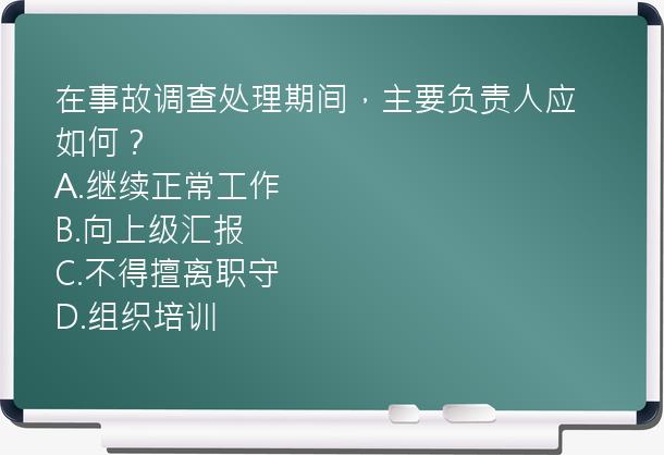 在事故调查处理期间，主要负责人应如何？