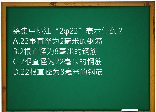 梁集中标注“2φ22”表示什么？