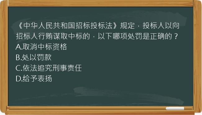 《中华人民共和国招标投标法》规定，投标人以向招标人行贿谋取中标的，以下哪项处罚是正确的？