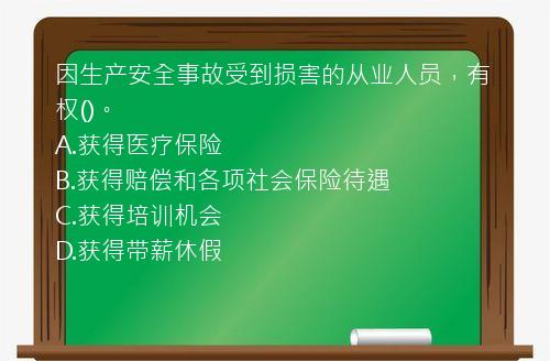 因生产安全事故受到损害的从业人员，有权()。