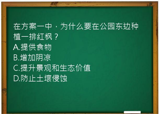 在方案一中，为什么要在公园东边种植一排红枫？