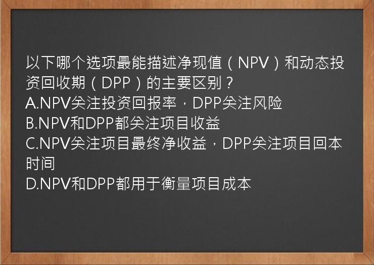 以下哪个选项最能描述净现值（NPV）和动态投资回收期（DPP）的主要区别？