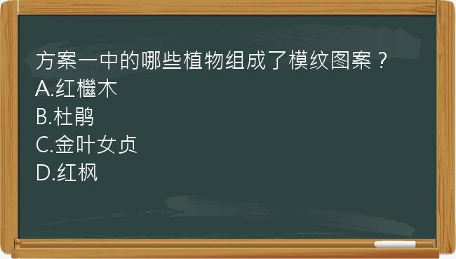 方案一中的哪些植物组成了模纹图案？