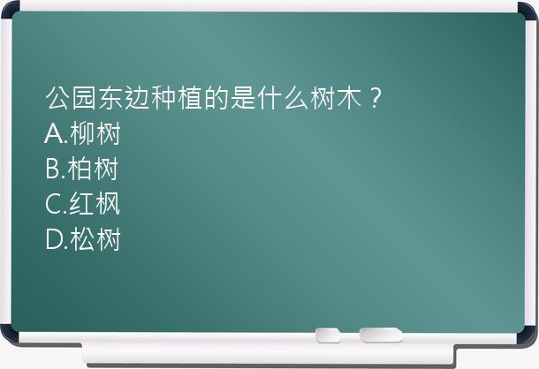 公园东边种植的是什么树木？