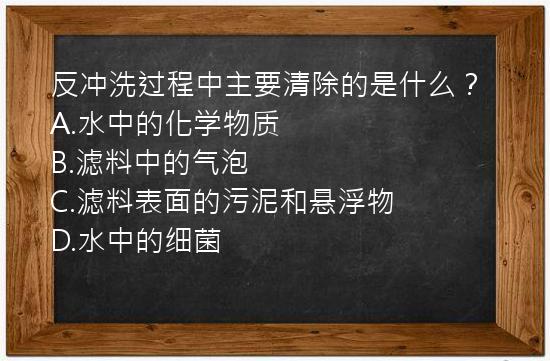 反冲洗过程中主要清除的是什么？