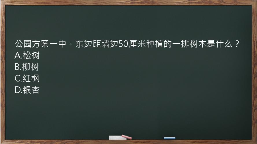 公园方案一中，东边距墙边50厘米种植的一排树木是什么？