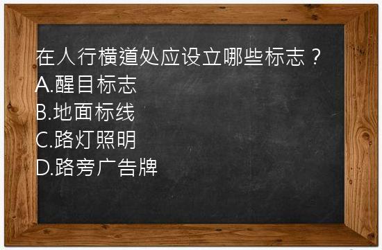 在人行横道处应设立哪些标志？