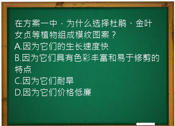 在方案一中，为什么选择杜鹃、金叶女贞等植物组成模纹图案？