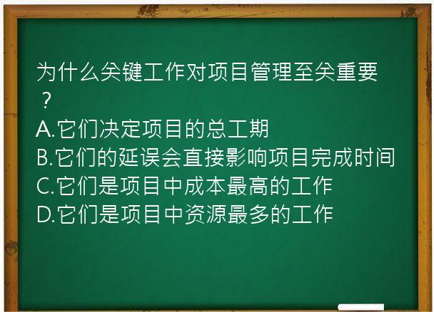 为什么关键工作对项目管理至关重要？