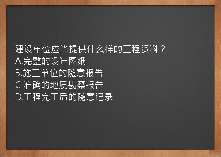 建设单位应当提供什么样的工程资料？