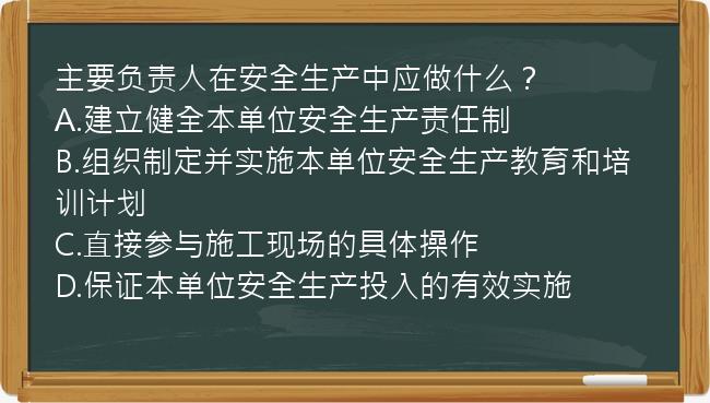 主要负责人在安全生产中应做什么？