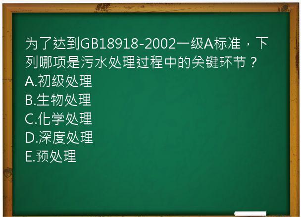 为了达到GB18918-2002一级A标准，下列哪项是污水处理过程中的关键环节？