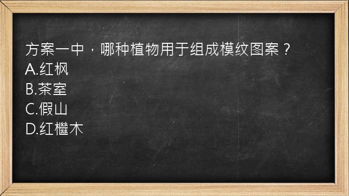 方案一中，哪种植物用于组成模纹图案？