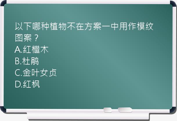 以下哪种植物不在方案一中用作模纹图案？