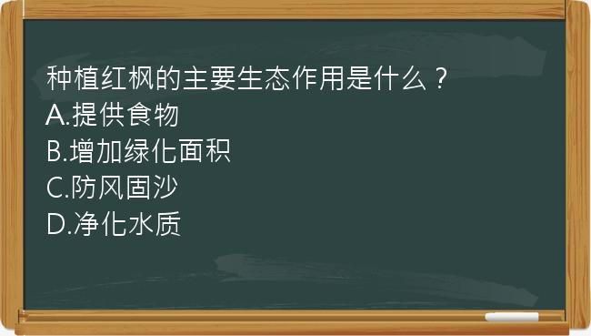 种植红枫的主要生态作用是什么？