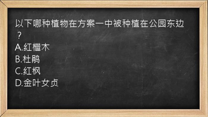 以下哪种植物在方案一中被种植在公园东边？