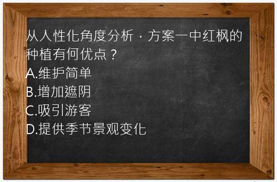 从人性化角度分析，方案一中红枫的种植有何优点？