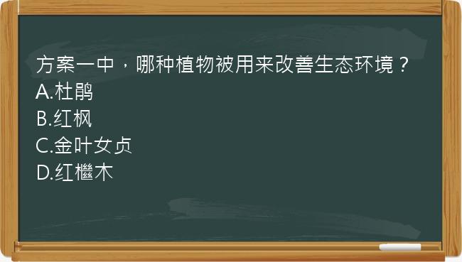 方案一中，哪种植物被用来改善生态环境？