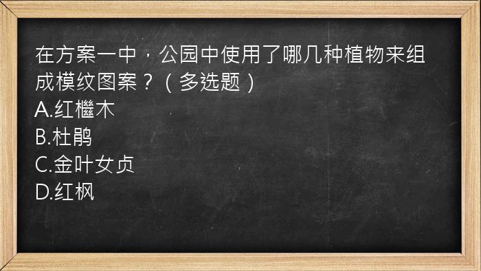 在方案一中，公园中使用了哪几种植物来组成模纹图案？（多选题）