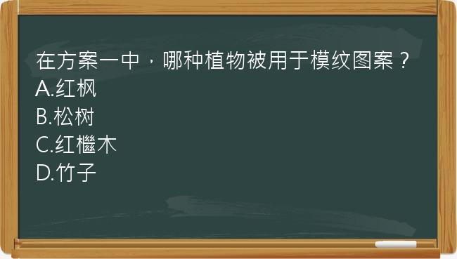 在方案一中，哪种植物被用于模纹图案？