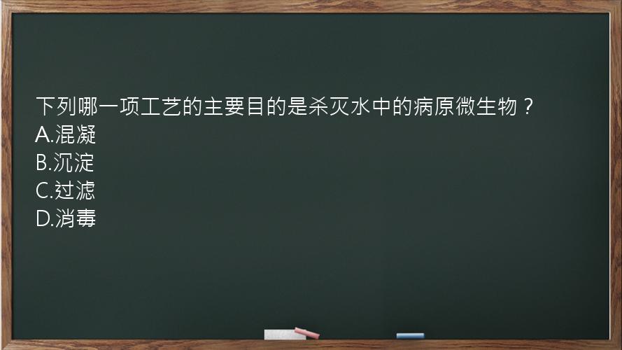 下列哪一项工艺的主要目的是杀灭水中的病原微生物？