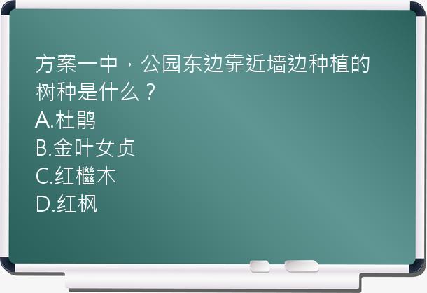 方案一中，公园东边靠近墙边种植的树种是什么？