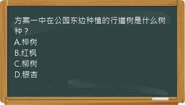 方案一中在公园东边种植的行道树是什么树种？