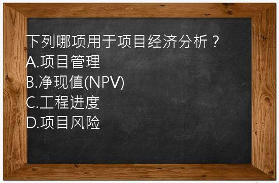 下列哪项用于项目经济分析？