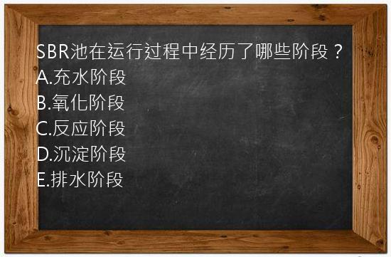 SBR池在运行过程中经历了哪些阶段？