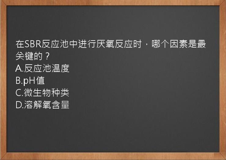 在SBR反应池中进行厌氧反应时，哪个因素是最关键的？